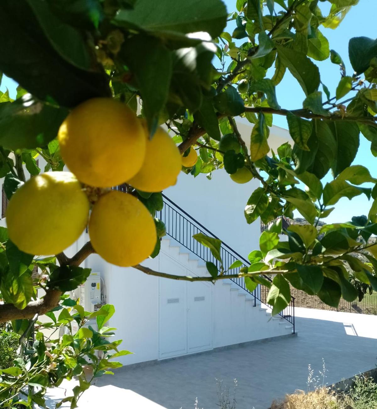 Granatelli Holiday Home Altavilla Milicia Exterior foto